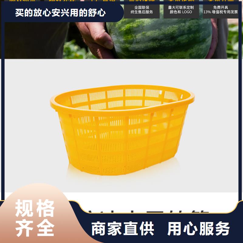 塑料筐-塑料储罐价格合理当地服务商