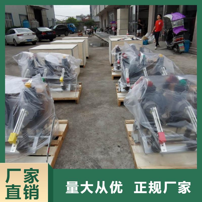 【真空断路器高压负荷开关好品质用的放心】【本地】品牌