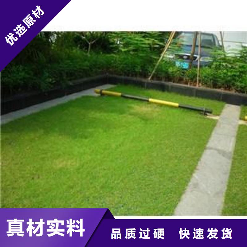 植草格长丝土工布低价货源【当地】制造商