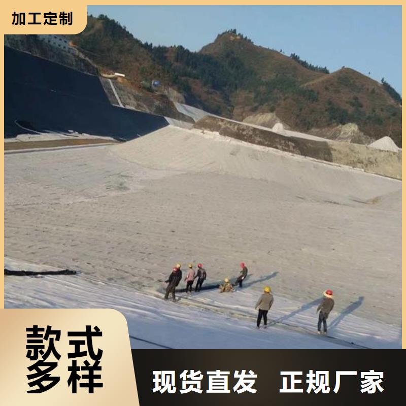 膨润土防水毯_土工格室技术先进本地公司