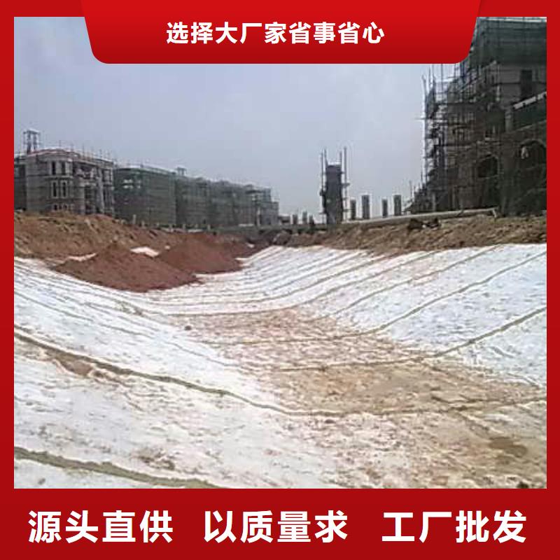 【膨润土防水毯单向塑料土工格栅拒绝差价】[当地]公司