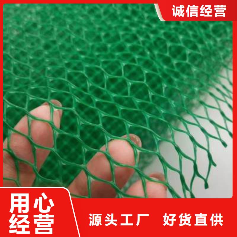 【三维植被网涤纶土工格栅厂诚信经营】可定制