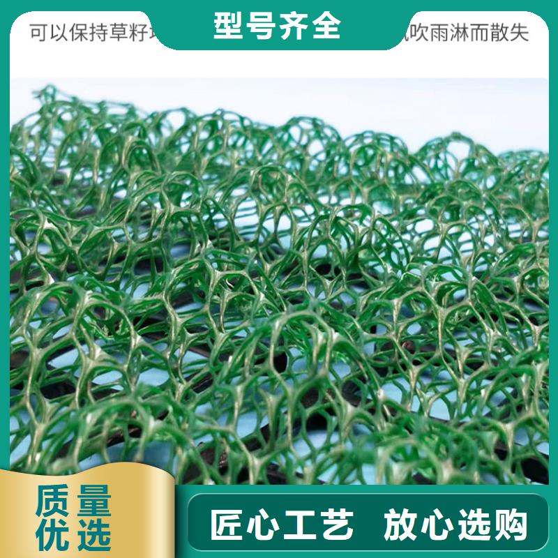 三维植被网-【涤纶土工格栅】用心制作诚信厂家