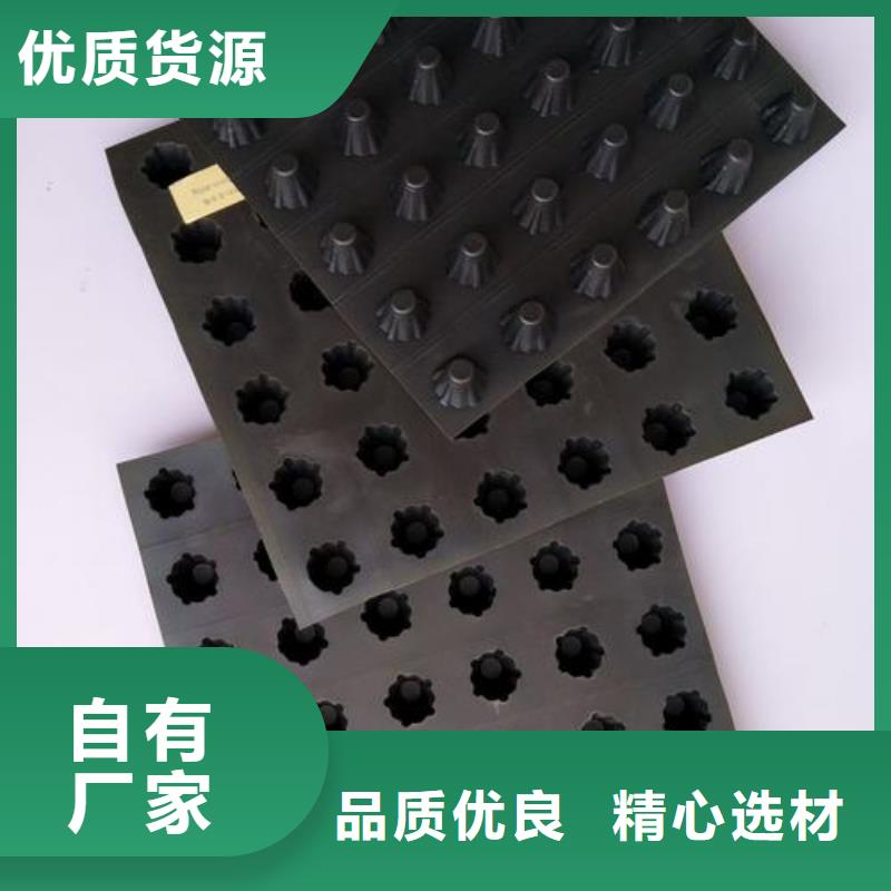 【塑料排水板hdpe士工膜好产品好服务】精选好货