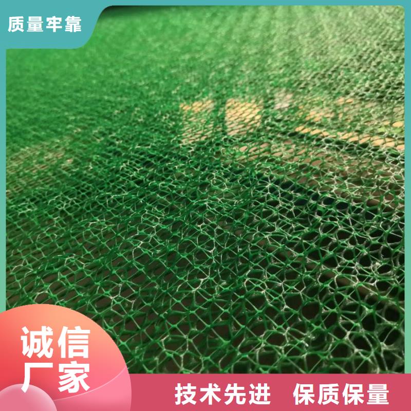 【三维植被网膨润土防水毯用好材做好产品】经验丰富质量放心