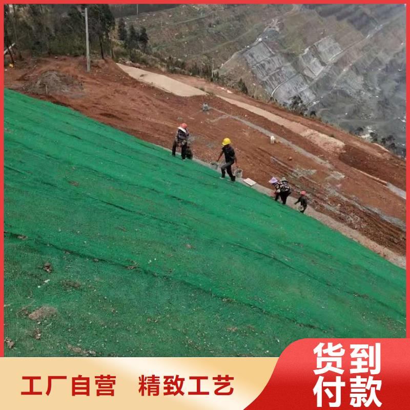 【三维植被网】凸结点钢塑土工格栅支持定制批发专注质量