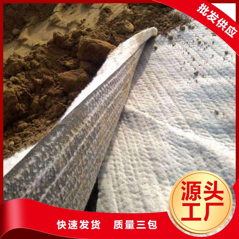 防水毯土工席垫专业生产N年当地服务商