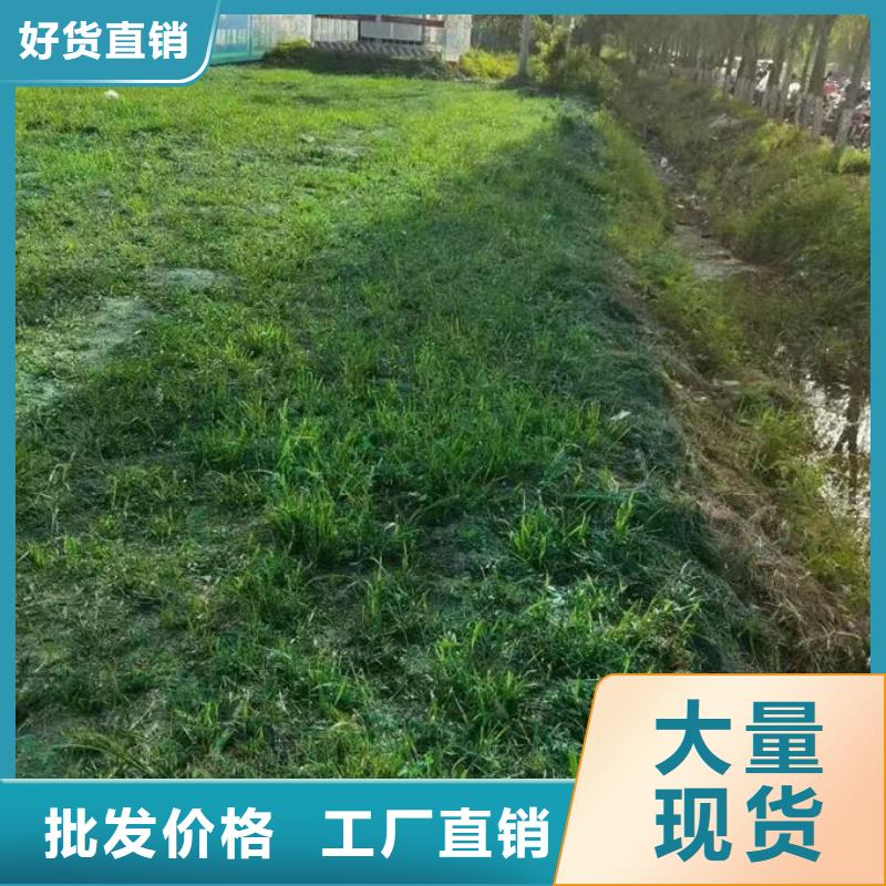 道路保湿抑尘剂来电咨询本地生产商