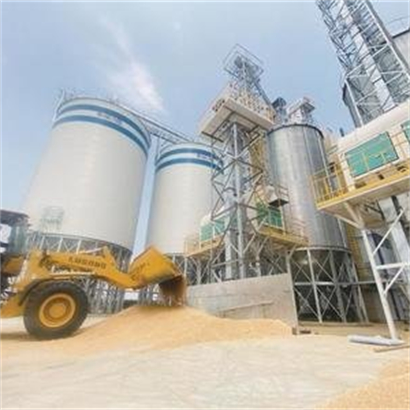装配式粮食平底仓、装配式粮食平底仓厂家-欢迎新老客户来电咨询