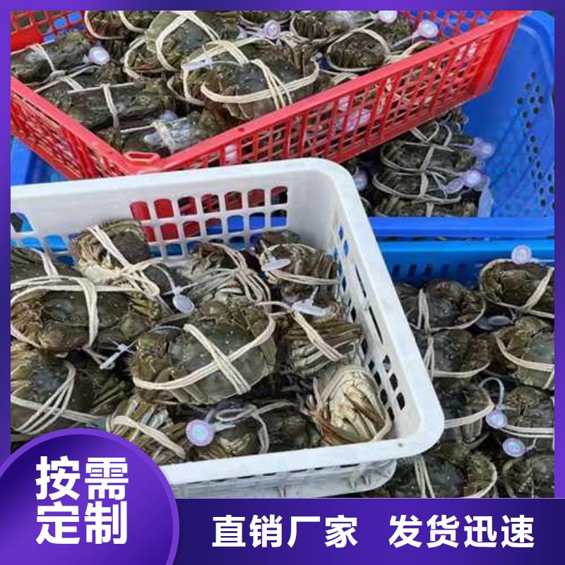 阳澄湖大闸蟹订购热线专业生产N年