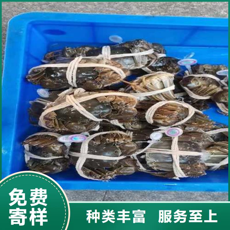 便宜的阳澄湖大闸蟹价格表<本地>服务商