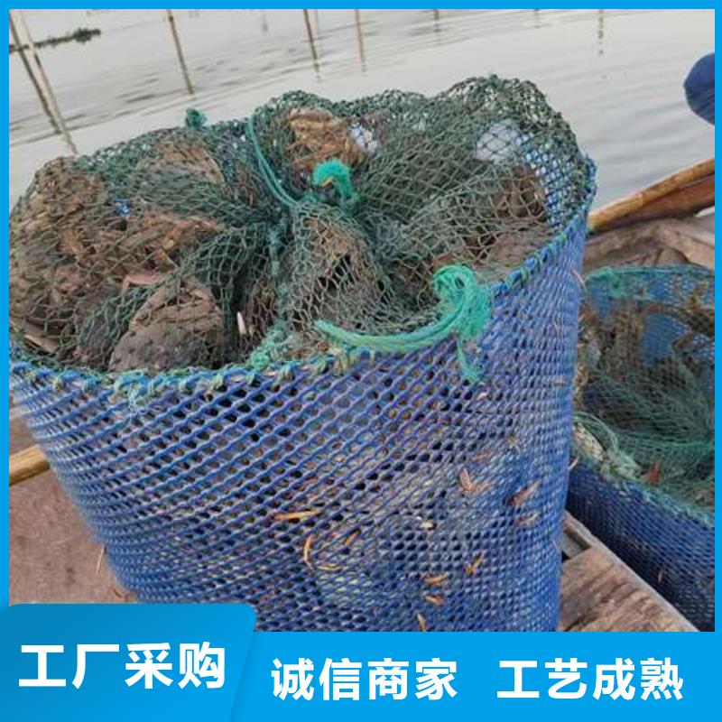 定制阳澄湖大闸蟹的当地厂家同城厂家