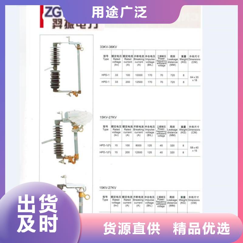 户外高压跌落式熔断器熔丝具RW12-12/200A真材实料加工定制