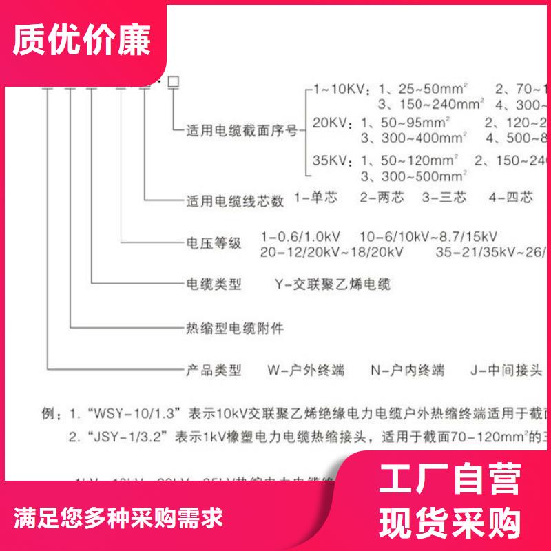 【】RSWY-1/1-35KV精心打造