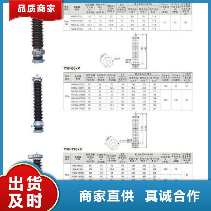 【】HY5WS2-51/130{当地}供应商