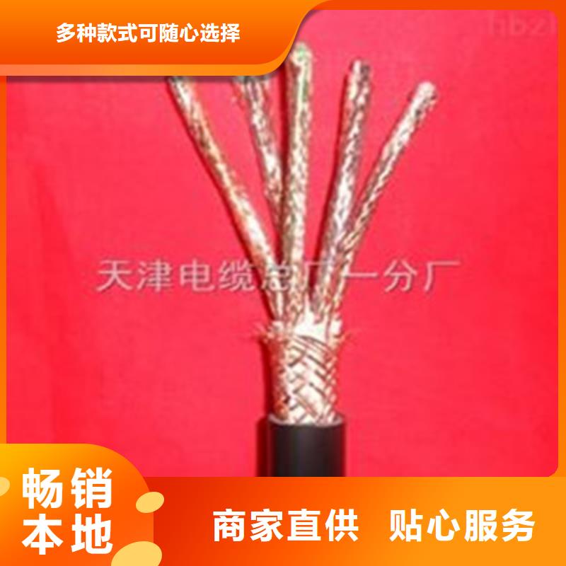 铠装计算机电缆CHYVRP82大量现货随时发货附近品牌