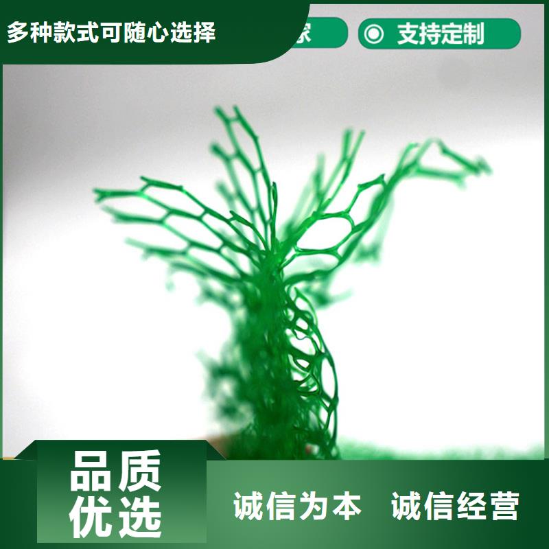 三维植被网螺旋管厂家货源[本地]厂家