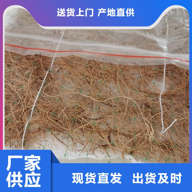 加筋抗冲生态毯-植生草毯信誉有保证