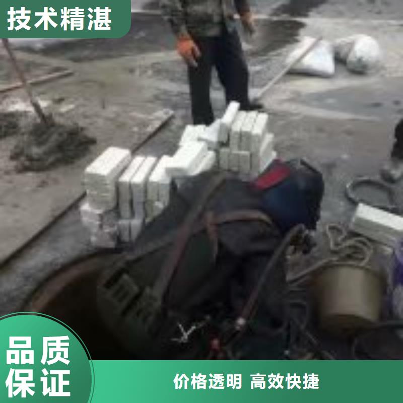 潜水服务公司水下照相服务高效快捷当地制造商