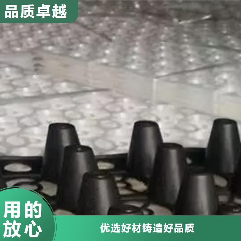 排水板价格实惠来图定制