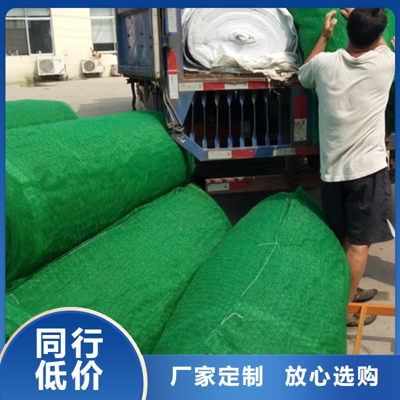 【三维植被网】植草格匠心品质根据要求定制