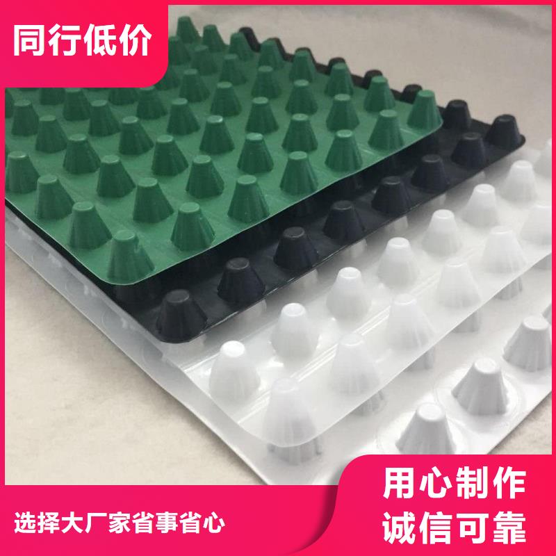 新闻：高分子防护排水异形片/欢迎您附近货源