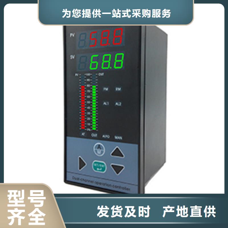 生产智能程序控制仪AI-808PBV12X3L51_品牌厂家附近生产商