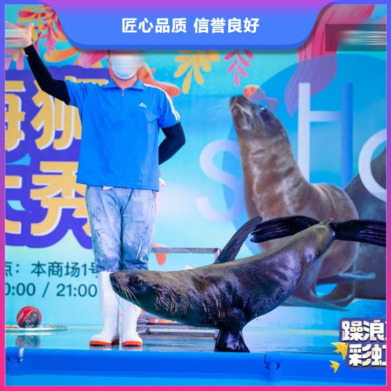 海洋主题动物表演,水族海洋展品质卓越资质齐全