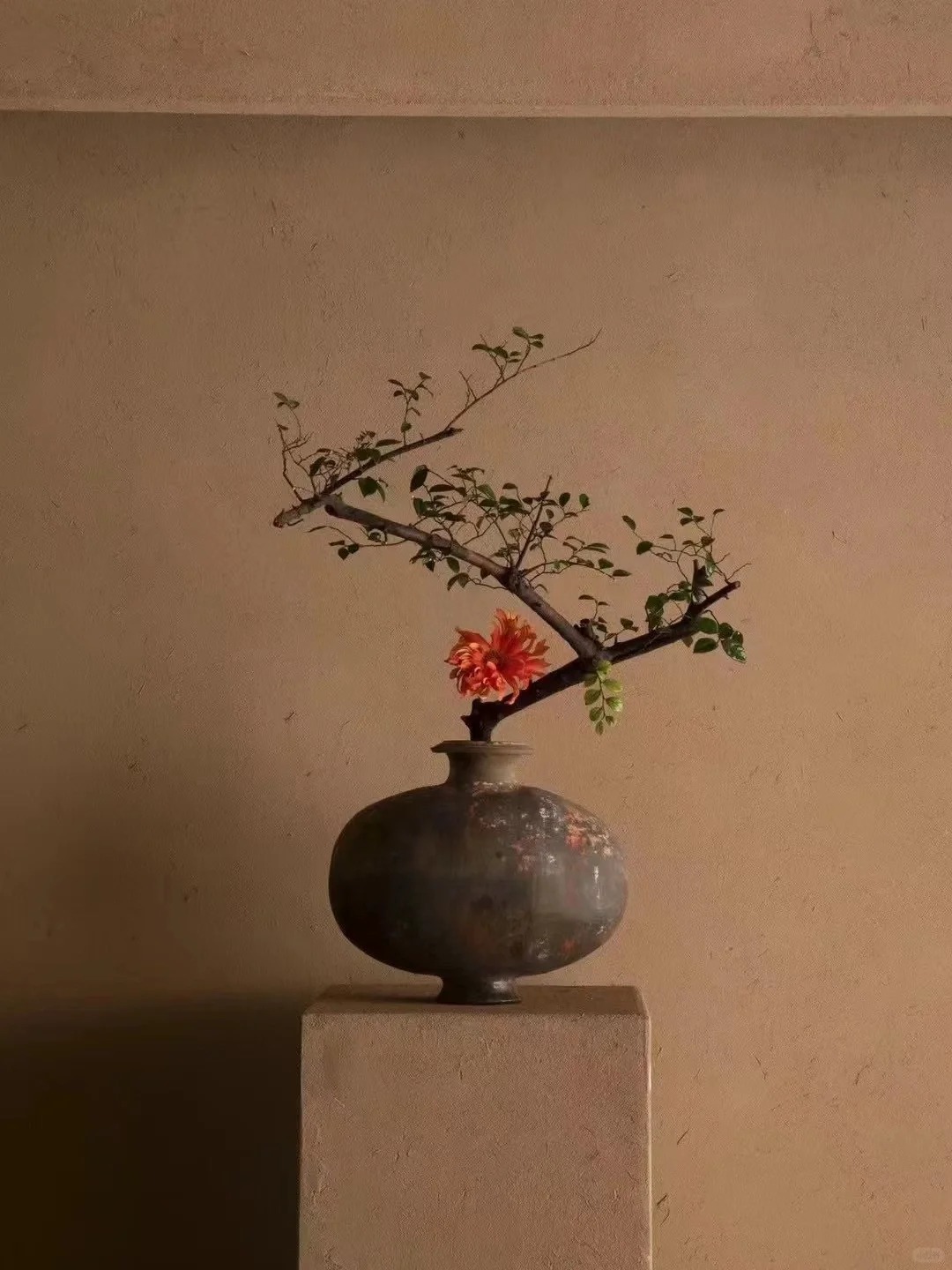 生态稻草漆厂商