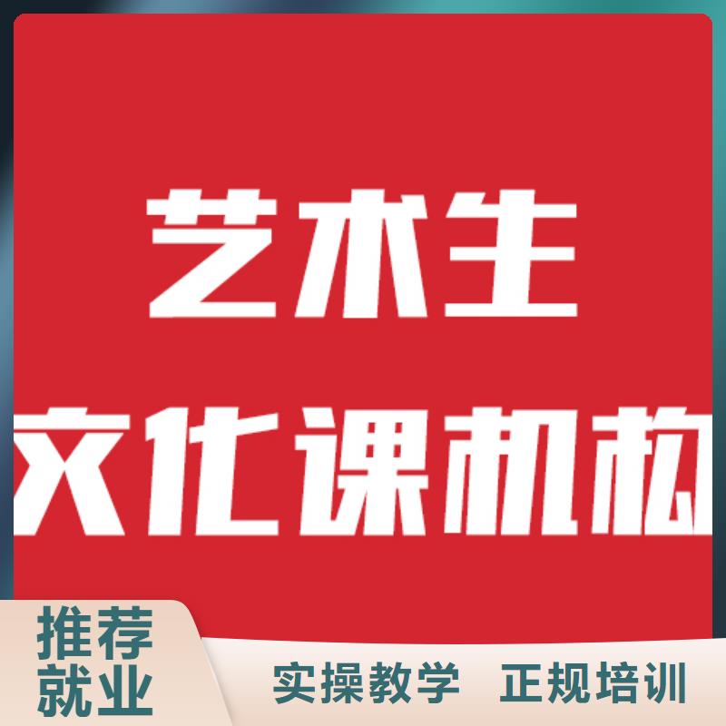 县艺考文化课补习学校价格实操培训