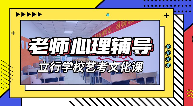 艺考文化课集训艺考一对一教学正规学校随到随学