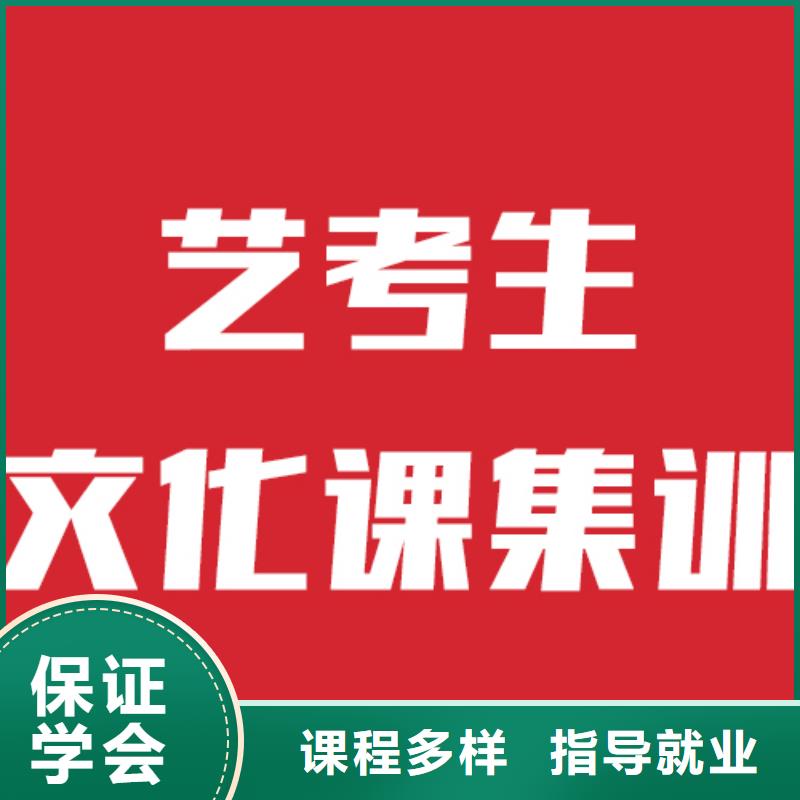 【艺考文化课培训编导班随到随学】师资力量强