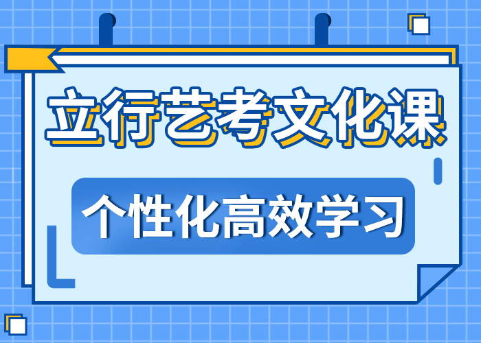 艺考生文化课【高中一对一辅导】理论+实操[当地]公司