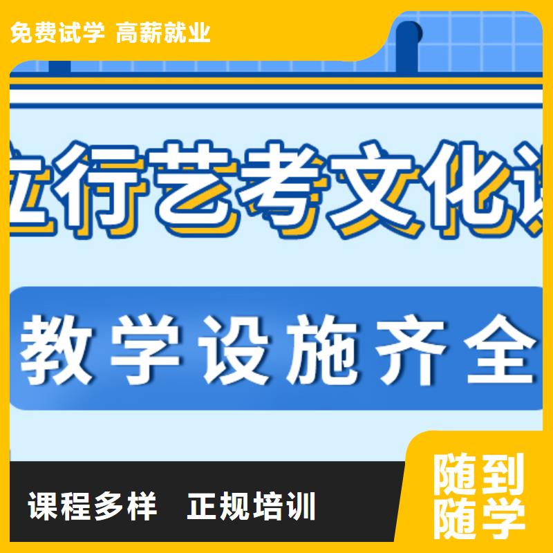 济南艺考文化课高中一对一辅导全程实操[本地]公司