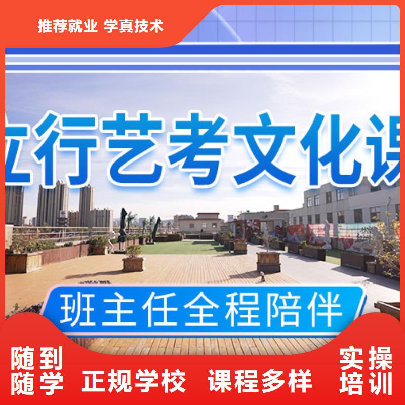 艺术生文化课补习学校哪里好[本地]公司