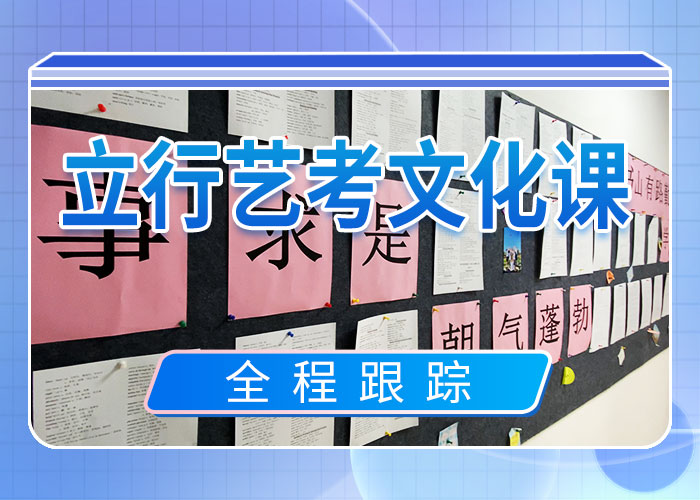 县艺术生文化课集训冲刺便宜的老师专业