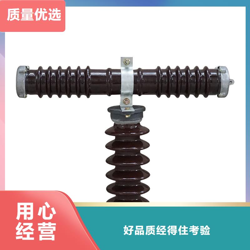 XRNP1-10KV/1A限流熔断器种类多质量好