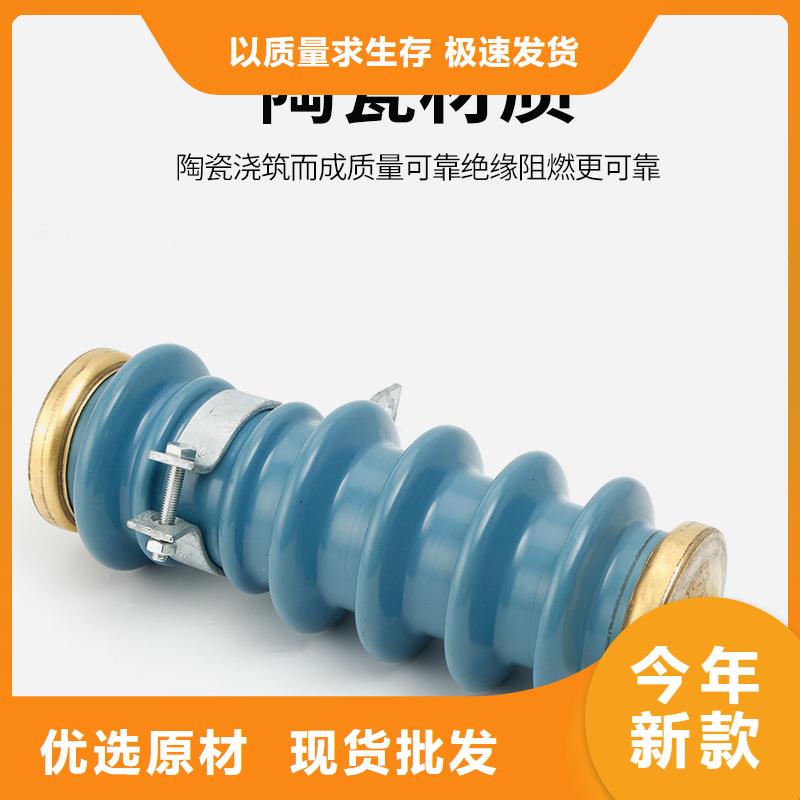 TBP-0-7.6中性点避雷器实力优品