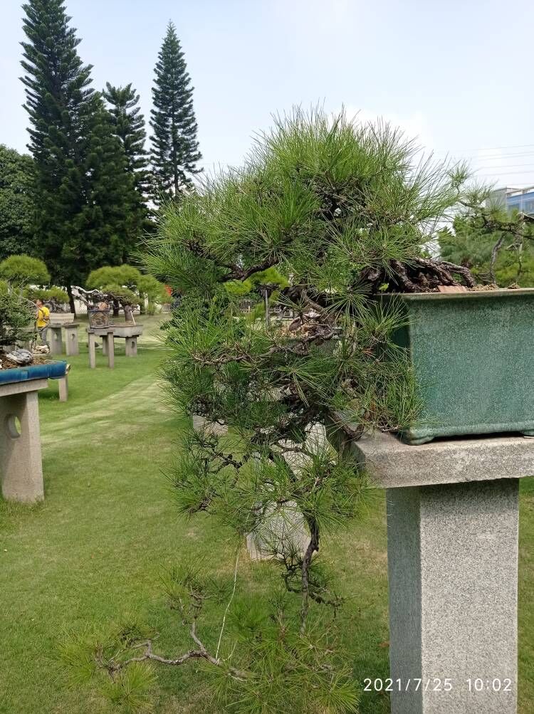 土壤固化剂优选原材