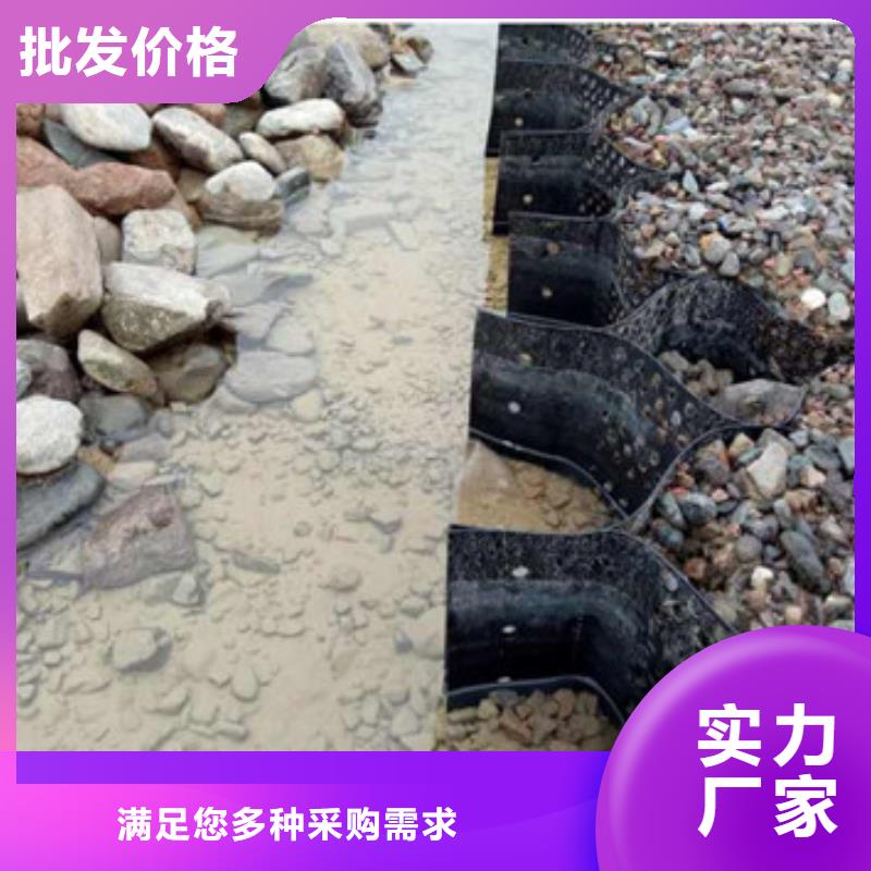 双向玻纤土工格栅本地公司